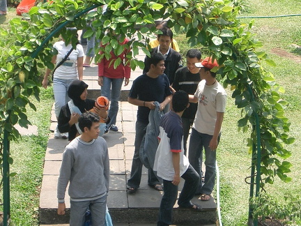 B-ms (116)